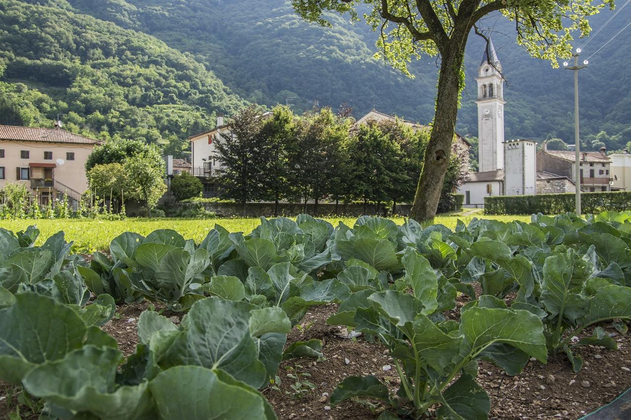 Locanda Solagna Quero Екстер'єр фото